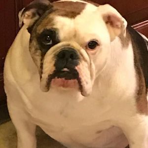 Meet your Posher, Robb